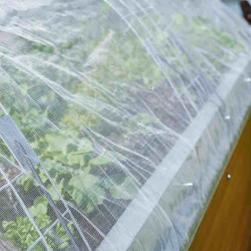 Hochbeete Buttazoni 2016-08-23