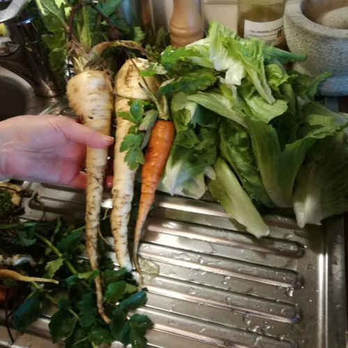 hochbeet kundenstimme